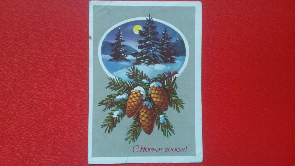 1977 Открытка Куртенко Г. С Новым годом! Ели подп