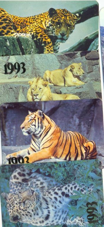 тигр барс леопард лев серия 1993 года. 