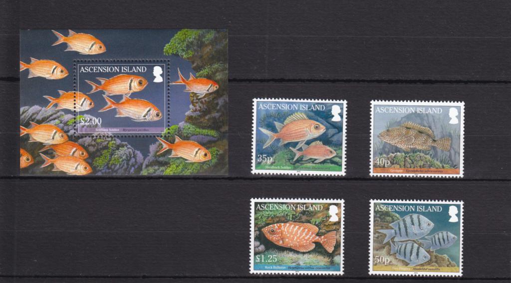 ASCENSION  Фауна моря  Рыбы  Блок + Серия   Сост**