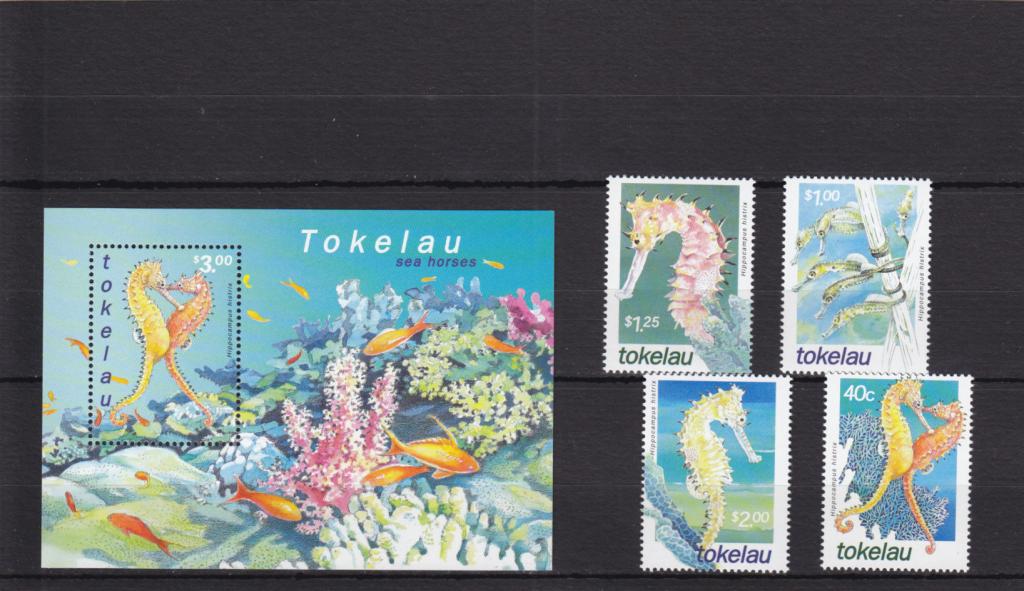 TOKELAU  ТОКЕЛАУ  Фауна моря   Рыбы Коньки Блок +  Серия   Сост**