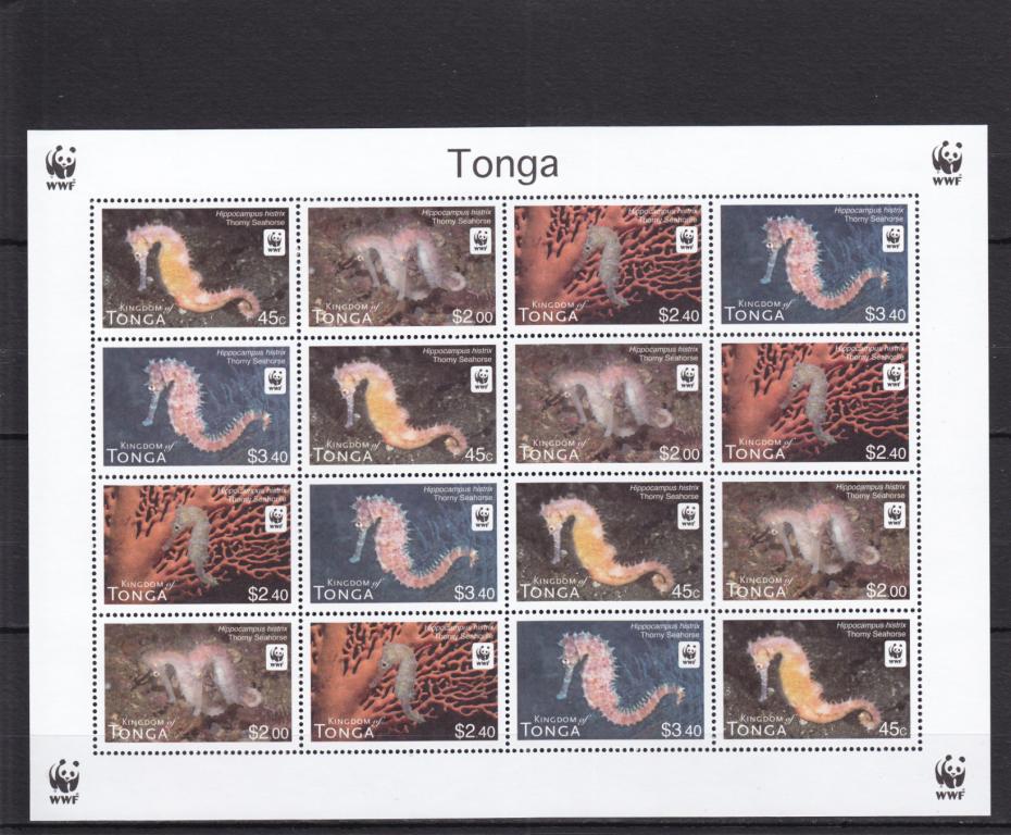 TONGA  ТОНГА   Фауна  Рыбы  Коньки  Лист  Сост**