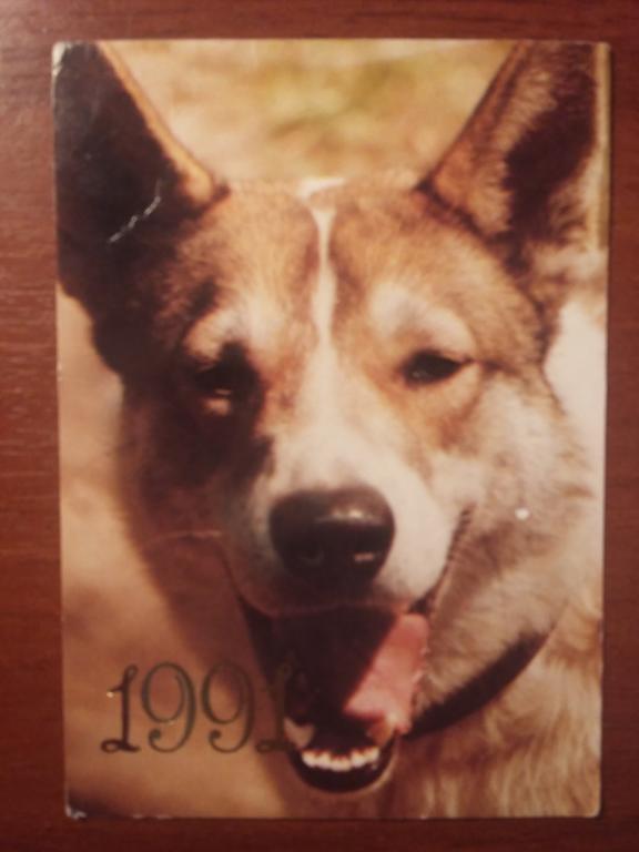 КАРМАННЫЙ КАЛЕНДАРИК КК СОБАКИ 1991г.
