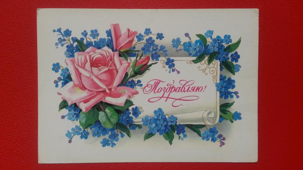 1981 Открытка Куртенко Г. Поздравляю! Цветы чистая