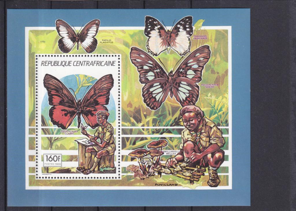 CENTRAFRICAINE  Фауна  Бабочки   Блок  1990  Сост**