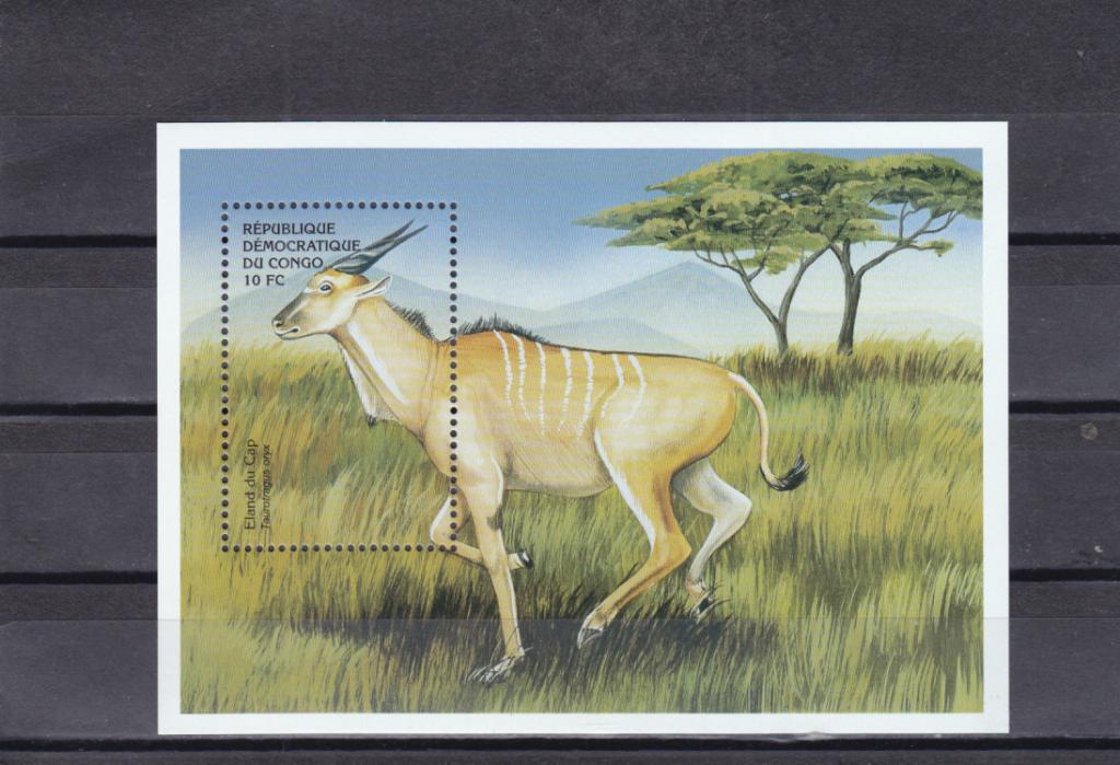 CONGO  КОНГО  Фауна  Антилопа  Блок Сост**