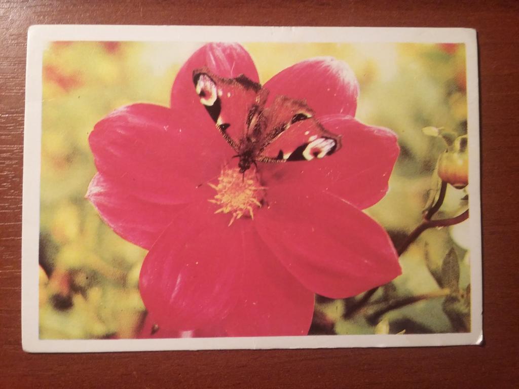 КАРМАННЫЙ КАЛЕНДАРИК КК ПЛАКАТ 1990г.