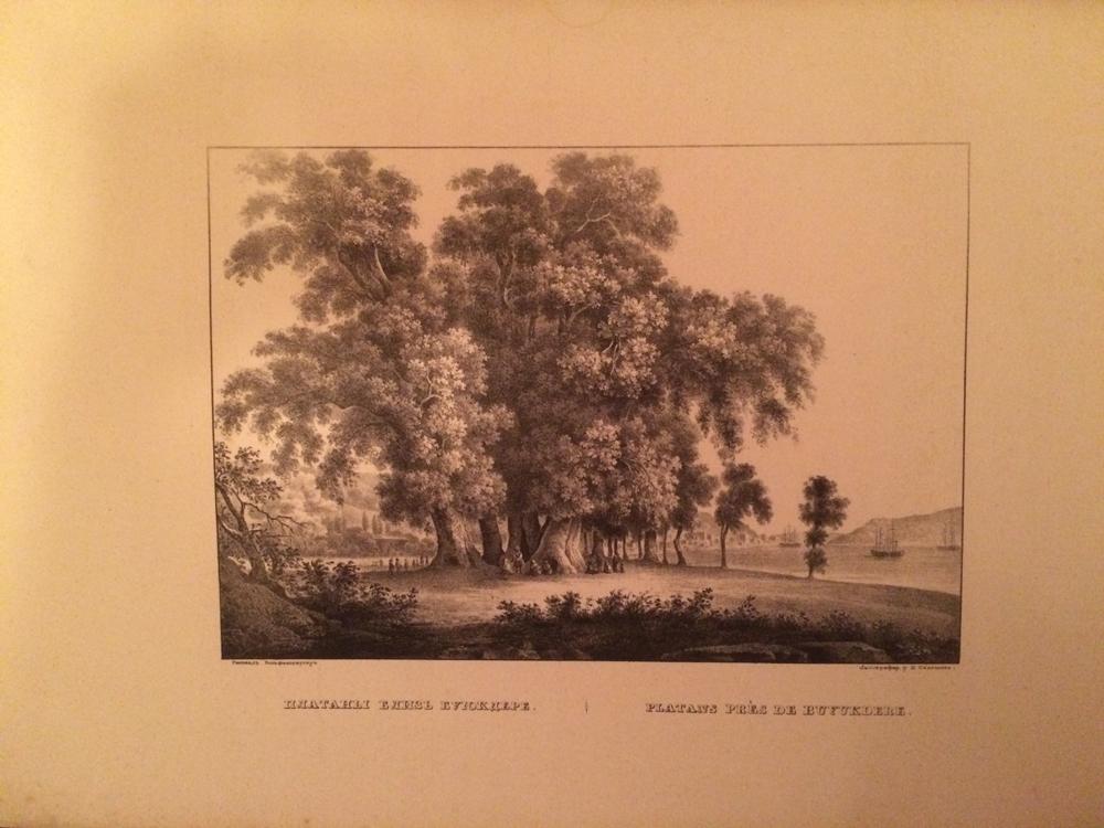 замок куртавнель литография. французские гравюры 19 века в хорошем качестве. ксилография 19 век. литография начала 20 века. литография 19 век.