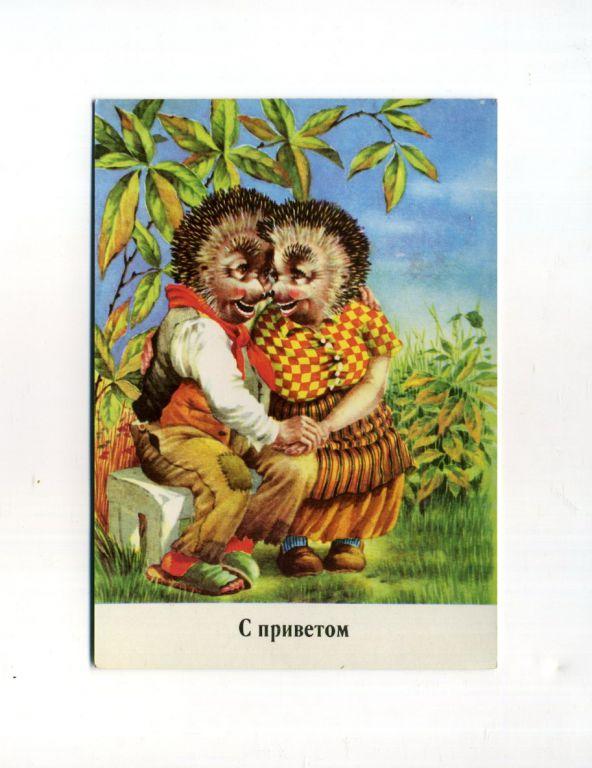 Открытки с ежиком с приветом, добрым