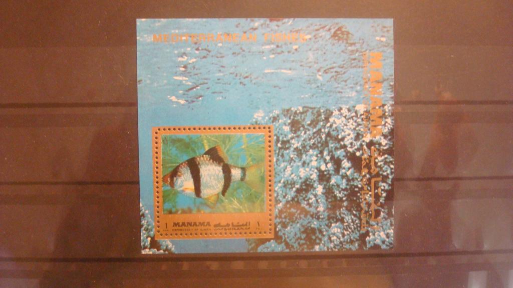 Манама. рыбы.блок.  А.1972г.** 4.50 евро.