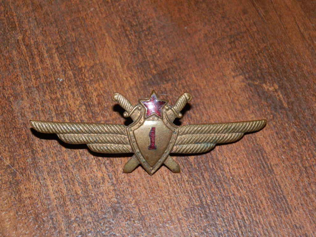 Пилот 1 класса. Книги про летчиков гражданской авиации. Пилот 1 класса. Знаки классности ввс. Пилот 1 класса.