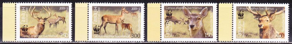 Туркменистан, фауна, 2009 г.