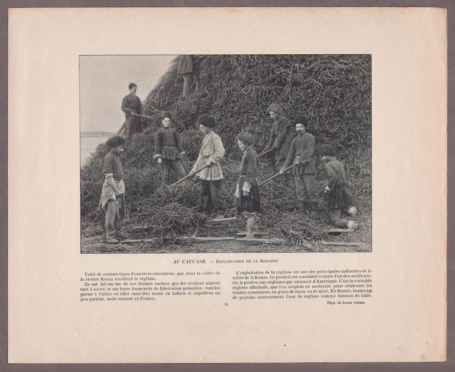 Выборг. Торговая площадь. Круглая башня / Кавказ. Сбор солодкового корня