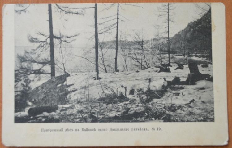 Байкал Прибрежный лес около бакланьяго  разъезда