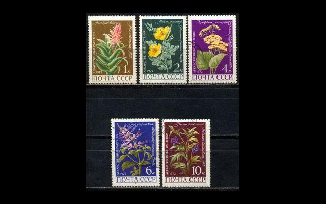 СССР 1972 Сл 4107-11 Лекарственные растения Used 001/613