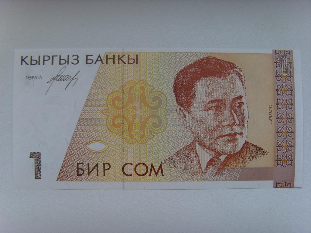 Киргизский сум. 1 Сом 1994. Сом валюта Киргизии. Кыргызстан (Киргизия) 100 сом 1994. Кыргызские сомы 5000.