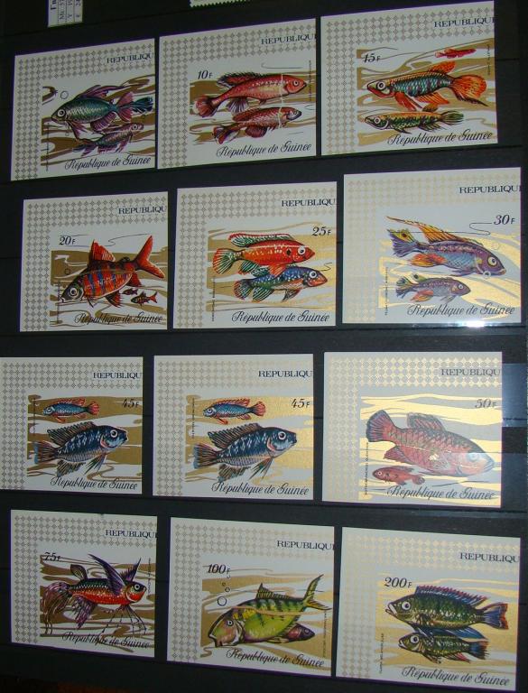 Гвинея 1971 MNH пс б\з