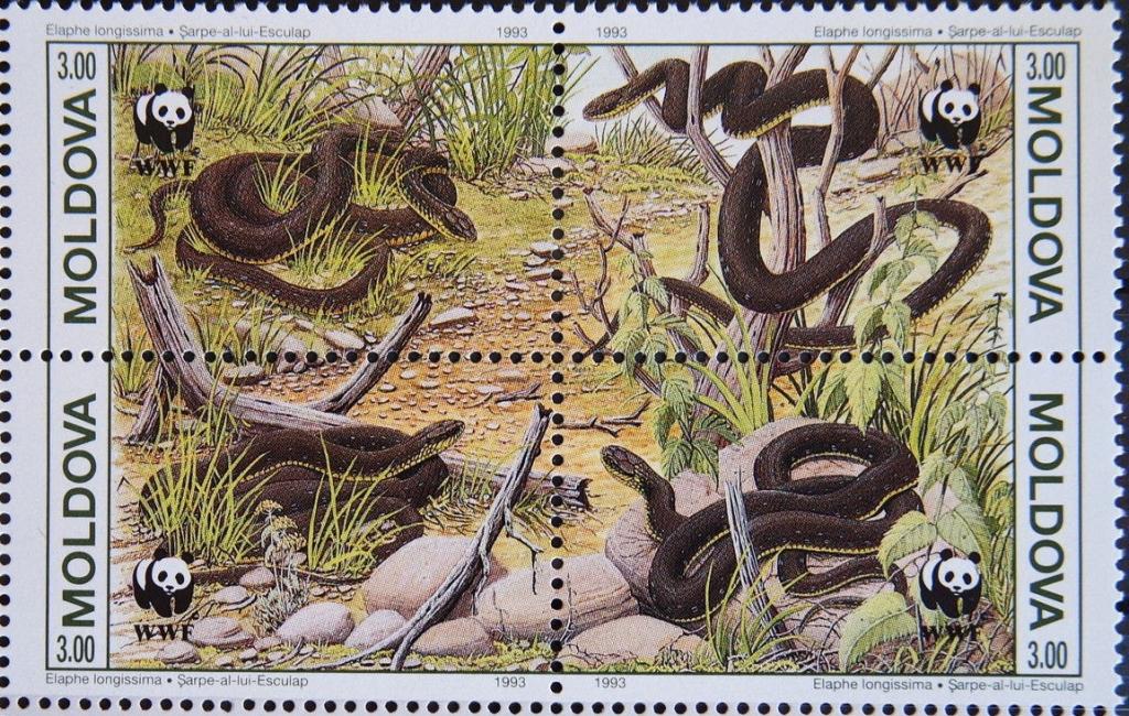 Молдавия 1993 Mi 50-53 Змеи WWF квартблок MNH