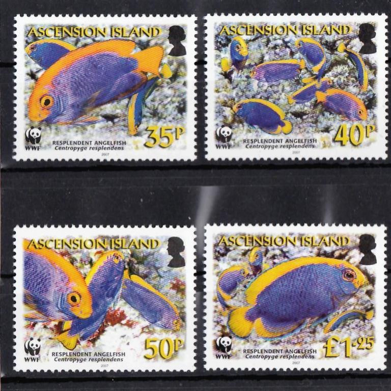 о-в Вознесения 2007 Рыбы WWF серия MNH