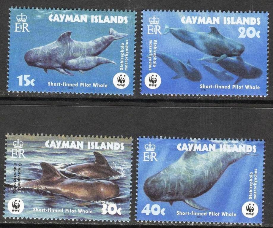 Кайманы 2003 Mi 970-3 Рыбы WWF серия MNH