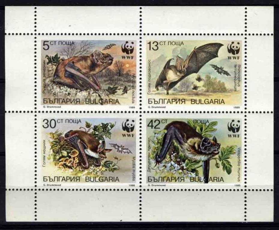 Болгария 1989 Mi 3741-4 Литучие мыши WWF серия квартблок MNH