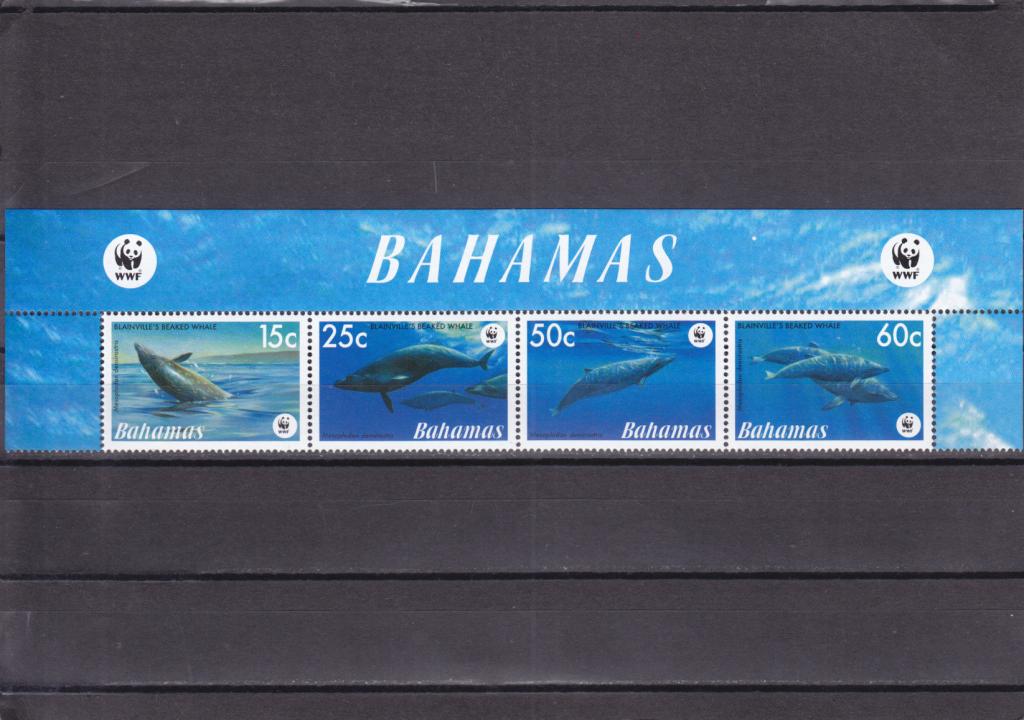 BAHAMAS  БАГАМЫ  Фауна  моря  Киты  Сцепка 2007   Сост**