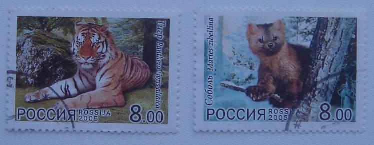 Россия 2005 СК 1032-3 Животные серия ГАШ