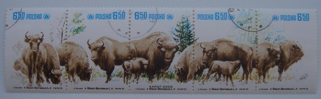 Польша 1981 Mi 6764-81 Животные Зубры серия сцепка ГАШ