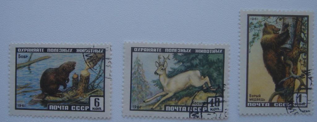 СССР 1961 СК 2445-7 Животные серия ГАШ