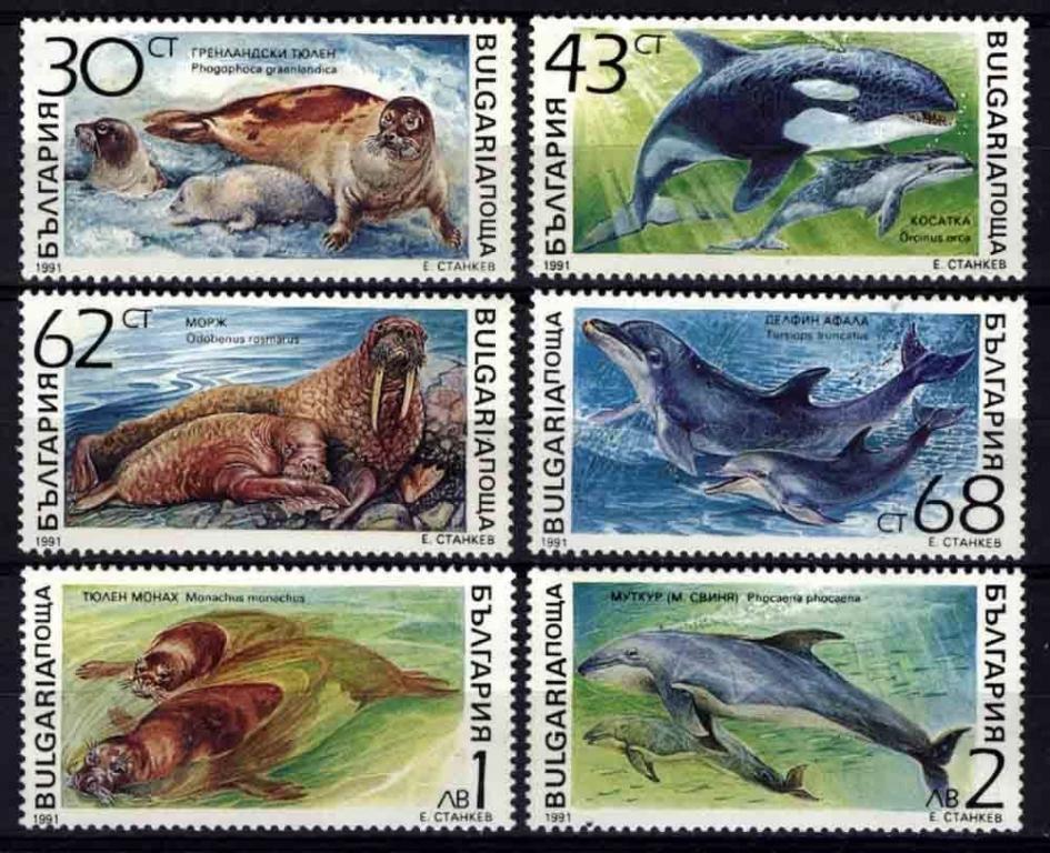 Болгария 1991 Mi 3959-64 Рыбы Морская Фауна серия MNH