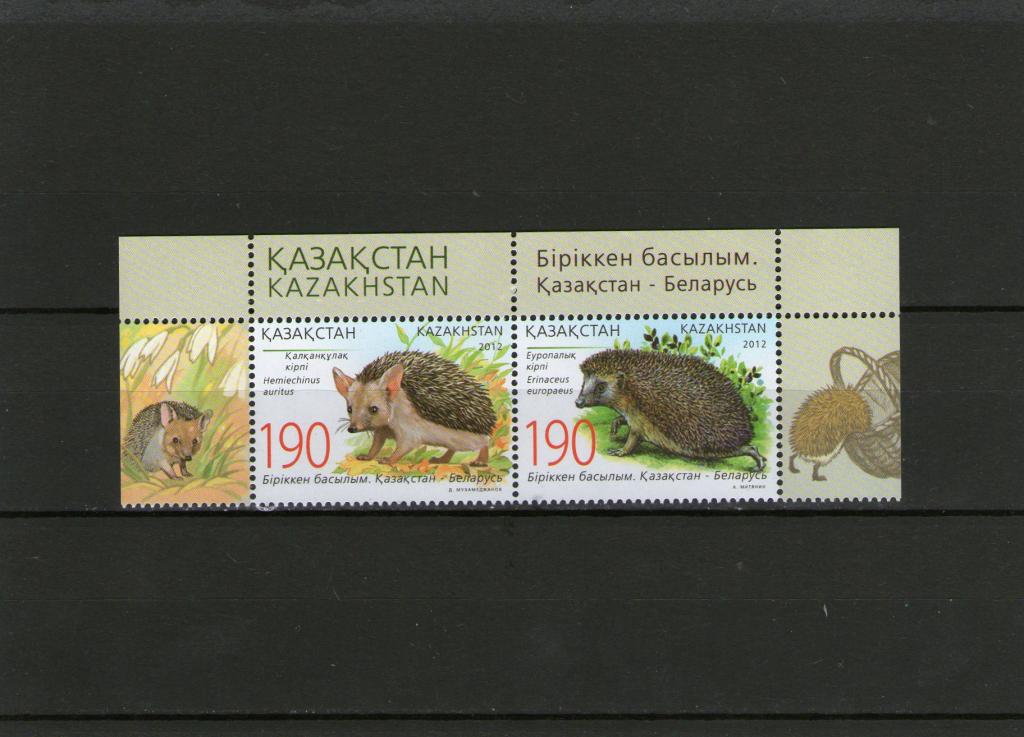 2012. Казахстан. Совместный. Беларусь. Ежи. Фауна.