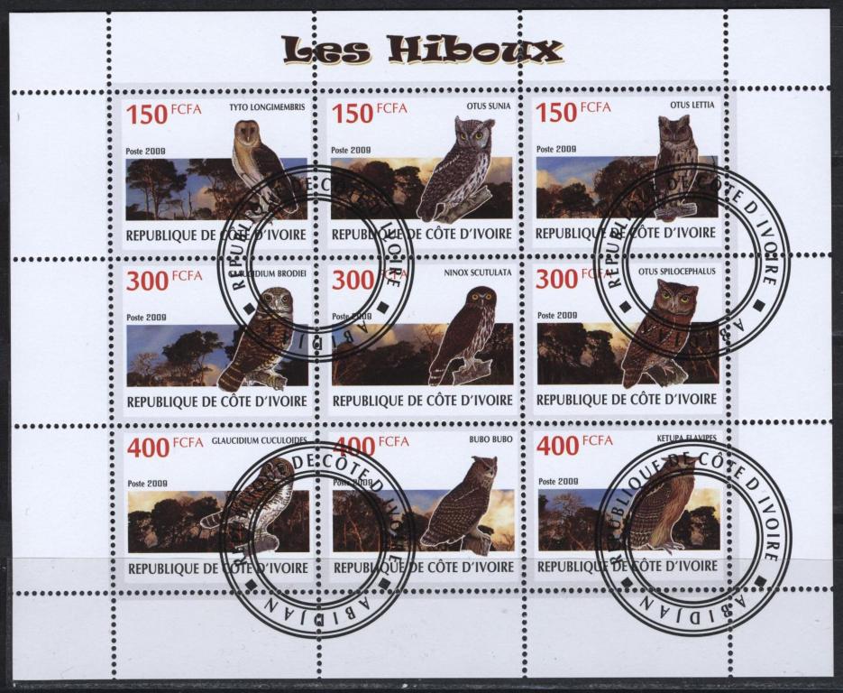 Кот д Ивуар. Птицы. Совы  мл