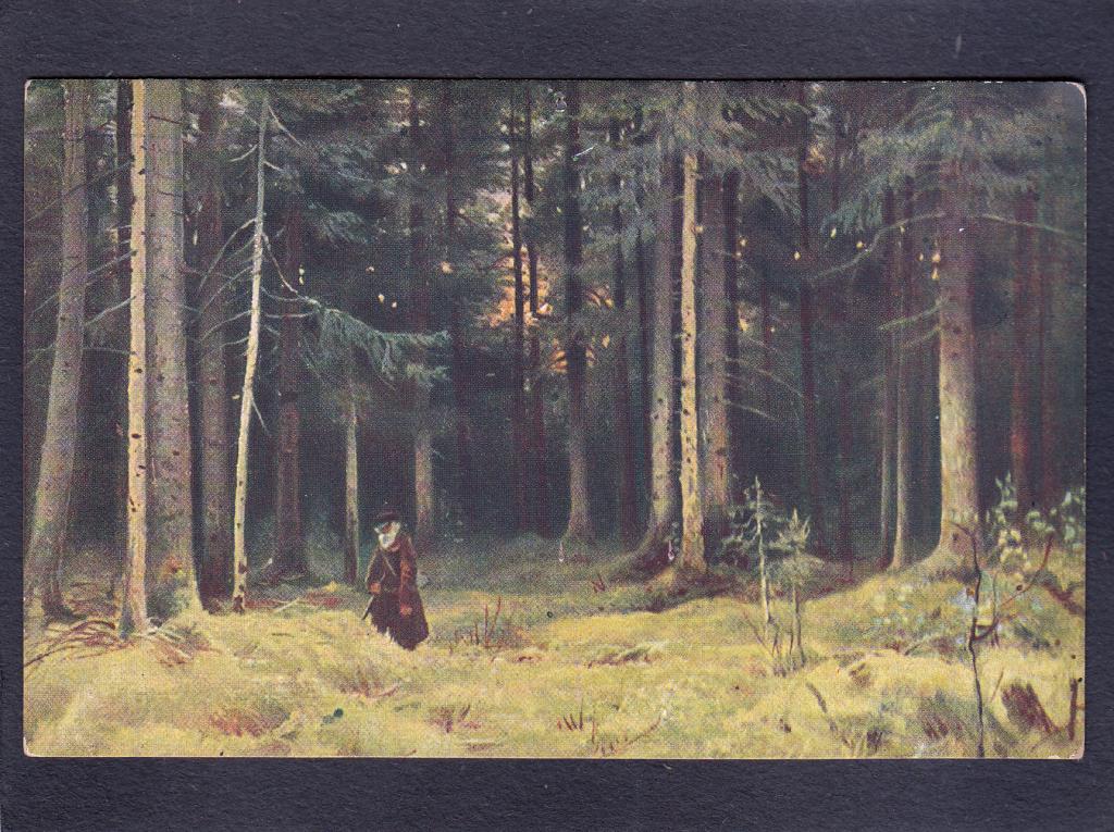 Шишкин. В лесу гр. Мордвиновой.