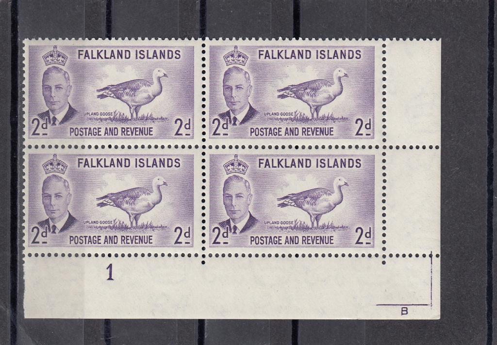 FALKLAND ISLANDS  Птицы  № 104   1952    Кварт  Угол  Сост**