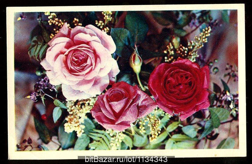 С днём Рождения - Дергилев И / 1976 год  (151)​