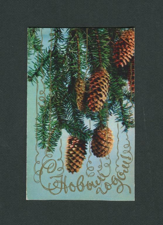 Открытка. 1978 год. С Новым годом. Чистая. Правда. фото В. Соболева. #570.