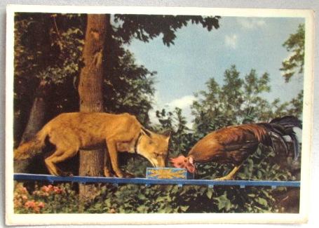 Лиса и петух Уголок Дурова 1958