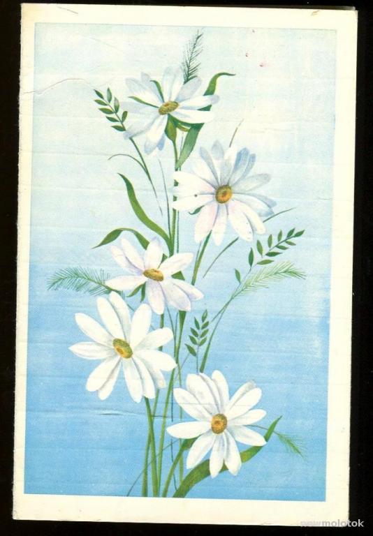 Поздравляю - Васина З / 1982 год (153)-3