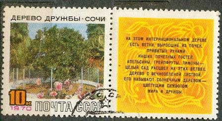 СССР 1970 СК 3789 Сочи дерево дружбы курорты флора