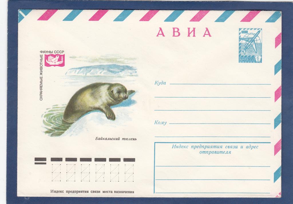 ХМК 78-365 АВИА Байкал ьский тюлень Колганов Фауна Биология Озеро
