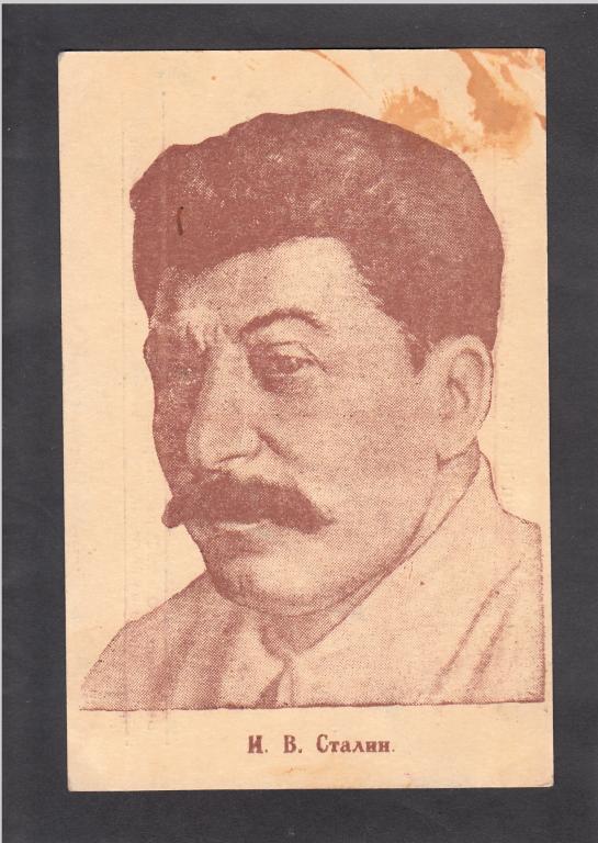 И.В.Сталин. Воронежский губотдел ВОС.