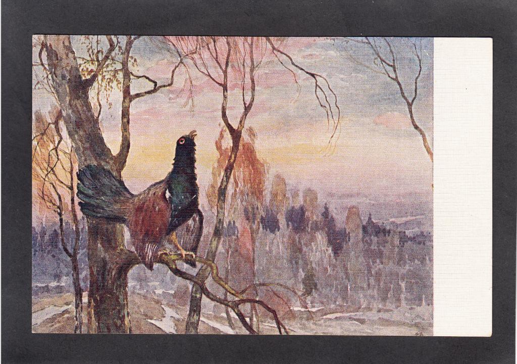 Горбатов. Глухарь на току.