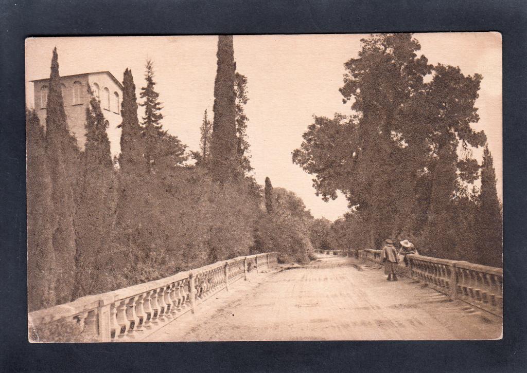 Крым. Алупка. Дорога ко дворцу.