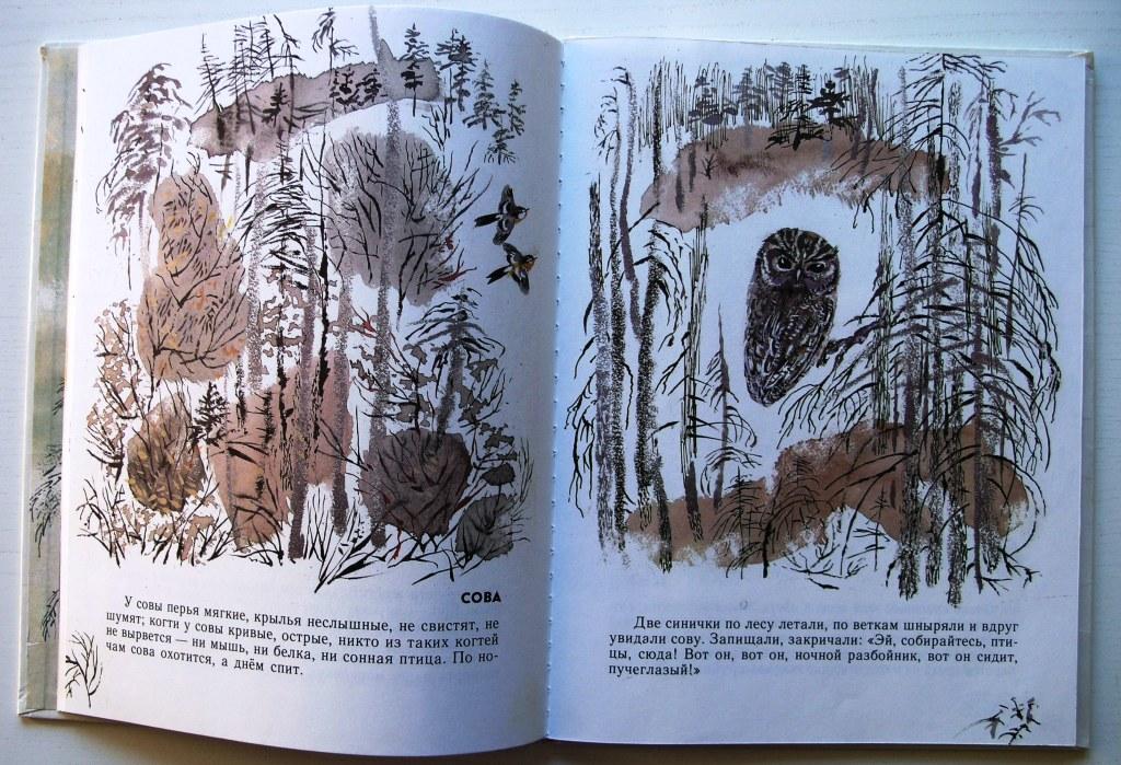 иллюстрации чарушина зоология. книга моя первая зоология.