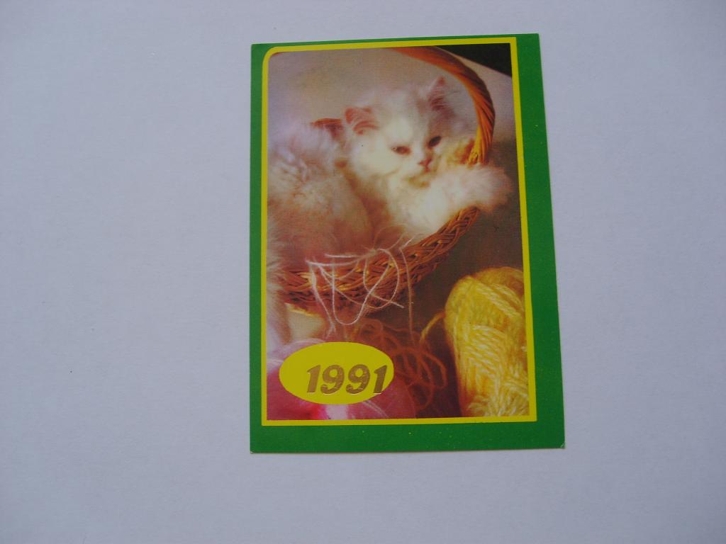 Кошка. (2). 1991