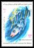 Иран 2008    5-й международный  детского и юношеский фестиваль на воде
