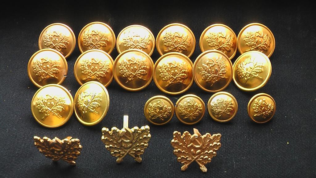 Комплект пуговиц егеря лесничего СССР эмблемы.