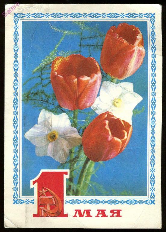 1 Мая - Костенко Г-Васильев В / 1977 год (133-А)