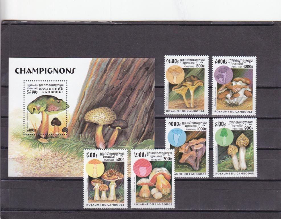 CAMBODGE  КАМБОДЖА    Флора  Грибы   Блок + Серия   1997   Сост**