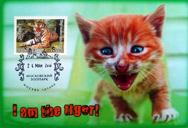 Картмаксимум КМ Maxicard набор фауна тигр соболь кот белка