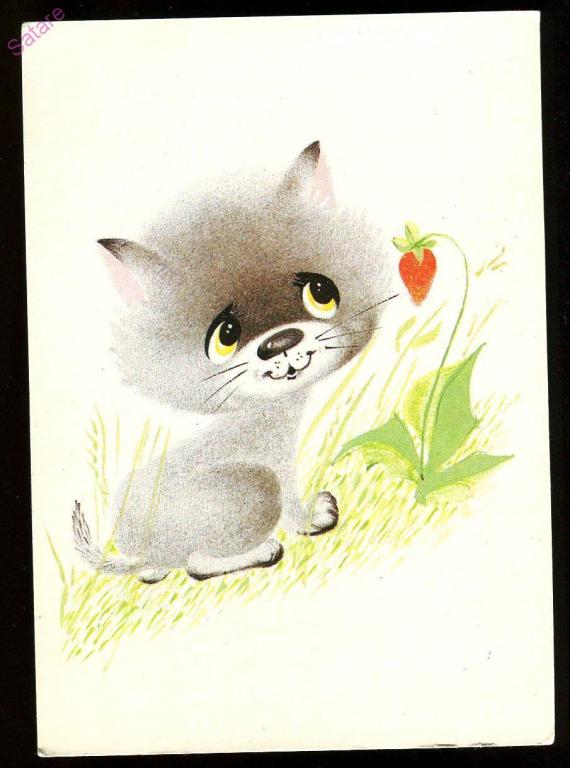 Котёнок_Бугаева Г_1989г  (38)
